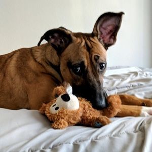 BUNDLE AND SAVE. 2 ITEMS, 20% OFF. SHOP MY CLOSET